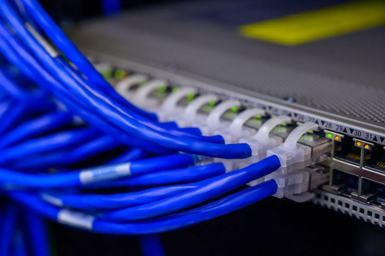 Vue détaillée de câbles Ethernet bleus connectés à un commutateur réseau dans un centre de données